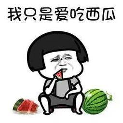 娱乐圈吃瓜的梗叫什么名字